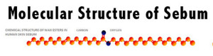 Nail Oil Molecular Structure of Sebum