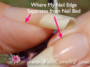 Image of Hangnail Removal Tool Nippers www.NailCareHQ.com