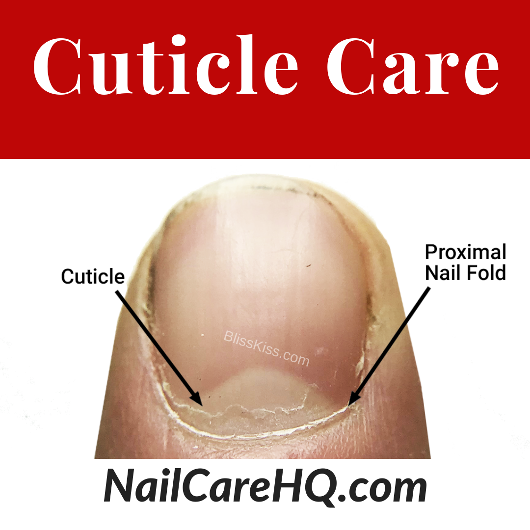 The Cuticle – Should You Clip, Push, or Scrape? | Nail Care HQ